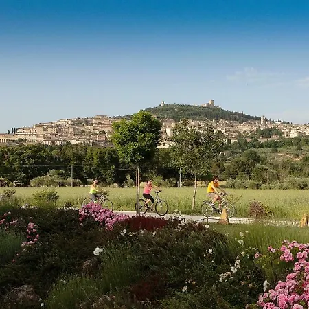 马墩纳塔安迪卡酒店 阿西西